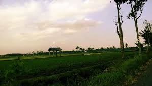 Pin On Pulkam Tahun Ke 5