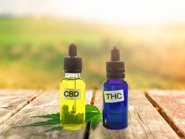 THC vs. CBD for Pain Relief in Massachusetts