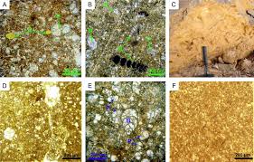 Image result for Yellow 1986 UMM