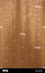 Image result for Lovoa