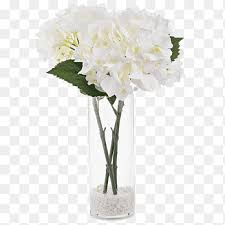 We did not find results for: Hydrangea Floral Design Cut Flowers Vase Clear Glass Vase Flower Arranging White Png Pngegg