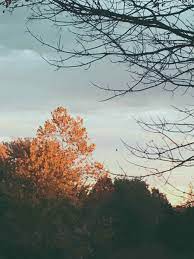 Things Your Beautiful Fall Aesthetic Scenery Doesn T Tell You Canberkarac Com Scenery Abstract Photos Hd Backgrounds