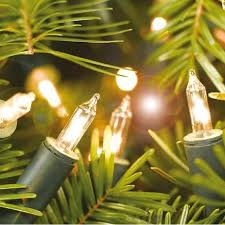 Check spelling or type a new query. Noma 20 40 100 Shadeless Clear Christmas Fairy Lights With Green Cab Garden Trends