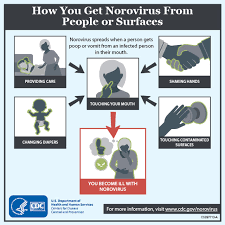 In fact, there's no such thing as stomach flu. Michigan Officials Warn Residents About Symptoms Of Norovirus Mlive Com