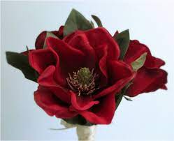 Maybe you would like to learn more about one of these? Silk Magnolia Bouquet Bridal Bouquet Ivory Red Or Tan Etsy Magnolia Wedding Flowers Flower Bouquet Wedding Silk Flower Bridal Bouquet