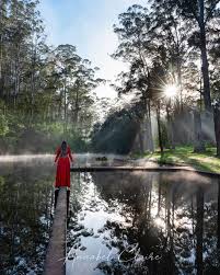 A historic swimming pool constructed in the late 1920's for the families of the timber workers, the pemberton pool has been an iconic destination for generations of locals and visitors. Annabel Claire Author At Annabel Claire