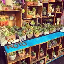 Bird In Hand Farmers Market Rotdcreations Market Display Farmers Market Display Plants Craft Market Display