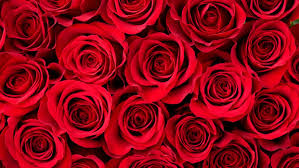Is 'Call Her Daddy' Hosting The Bachelor?! Fans Are Freaking Out! - Imagen principal del artículo