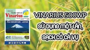 Vinarius 500WP