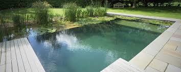 Reasons to have a backyard pond: All About Natural Swimming Pools Ecohome