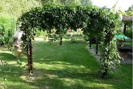 Pergola arc pergola carré jardipolys une pergola dans votre terrain, pour décorer utilement votre jardin. Gr8 Arbre De Jardin En Acier Pour Plantes Grimpantes Avec Treillis Noir Jardinage Treillis Et Amenagement Paysager