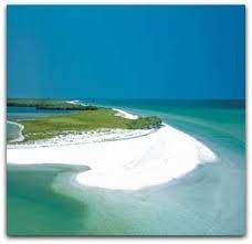 Caladesi Island Yahoo Image Search Results Caladesi Island State Park Places Worth Visiting Florida Travel