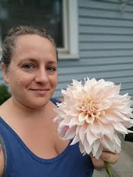 Are solar storms affecting plant growth?