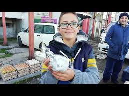 Guzel Oyun Kusu Arayan Sedat Abiyi Arasin 5398467941 Catida Cay Ismarlarim Diyor Kartal Guvercin Youtube