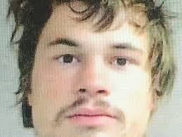 Police: Muncie man used log to knock out acquaintance