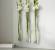 Artisanal Wall Mount Vase
