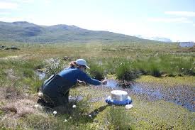 Stordalen mire (68.35°n, 19.05°e) is a peat plateau in northern sweden with a peat depth ranging from 1 to 3 m. Stordalen Climate Impacts Research Centre