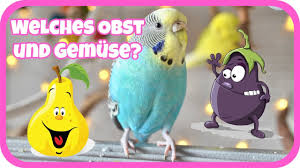Welches Obst Und Gemuse Fur Wellensittiche Youtube