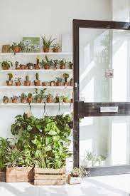 Plant Store Botany A Journal Interior Plants Flower Store Home Decor