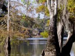 Maybe you would like to learn more about one of these? White Oak Park Online Reservations
