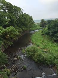 つり人オンライン