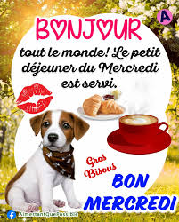 TousPerfect - TousPerfect added a new photo.