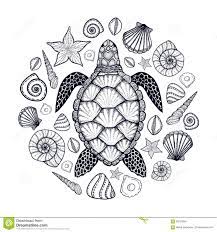 Drawing a flower petal or a leaf with python turtle. Sea Turtle And Shells In Line Art Style Hand Drawn Vector Illustration Set Of Turtle Drawing Sea Turtle Drawing Hand Drawn Vector Illustrations