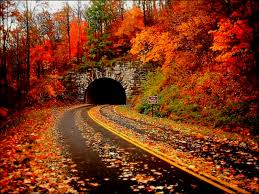 Image result for autumn photos