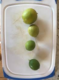 The key lime (citrus × aurantiifolia) is a citrus hybrid (c. Lime Comparisons Citrusgrowersv2