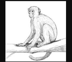 How To Draw A Monkey With These Easy Step By Step Tutorials Search for hand drawn monkey pictures, lovepik.com offers 392358 all free stock images, which updates 100 free pictures daily to make your work professional and easy. how to draw a monkey with these easy
