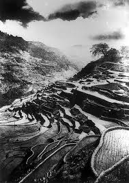 Banaue Rice Terraces Early 1900s Philippine Art Beach Landscape Philippines