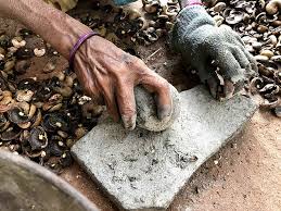 We did not find results for: Cashew Nuts A Toxic Industry Slow Food International