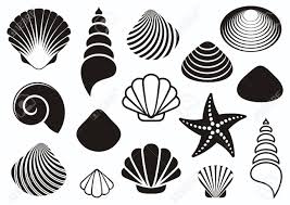 Maybe you would like to learn more about one of these? Set Of Different Black Sea Shells And Starfish Royalty Free Cliparts Vectors And Stock Illustration Image 35599990