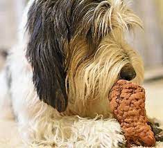 Root Chews For Dogs The Smart Dog Guide