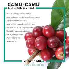 Les Bienfaits Du Camu Camu Aliments Bons Pour La Sante Alimentation Et Sante Remedes Naturels