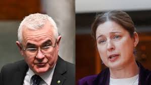 Andrew Wilkie grills Julie Collins in federal parliament over funding  levels for Tasmanian housing