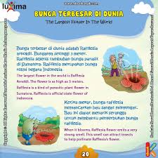 Nama lain dari bunga ini yaitu titan arum dan sering dianggap serupa dengan bunga rafflesia. Apakah Nama Bunga Terbesar Di Dunia Ebook Anak