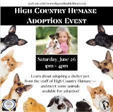 Maybe you would like to learn more about one of these? High Country Humane Adoption Event Flagstaff City Coconino County Public Library And High Country Humane At Flagstaff City Coconino County Public Library Flagstaff Az Family