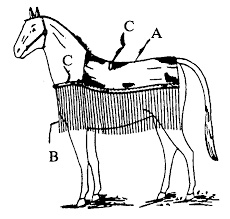 A Body Of Fly Net B Fly Net Strings C Straps In 2020 Work With Animals Horse Equipment Horses