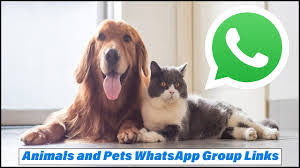 The bond that you share with your pet means everything to you. Pet Store Near Me Whatsapp Group Link Passurexam Com