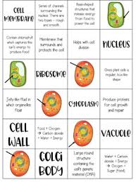 Maybe you would like to learn more about one of these? Plant And Animal Cells Organelle Puzzle Distance Learning Tpt