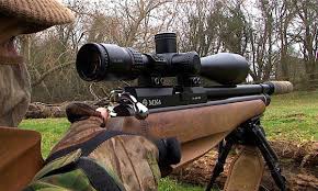 It's the gun for adults. Why Is An Air Rifle Better For Pest Control Than An Air Pistol Replica Airguns Blog Airsoft Pellet Bb Gun Reviews