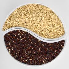 La quinoa ha un ottimo sapore ed è ottima per la preparazione di moltissimi piatti, con verdure o carne. Quinoa Cos E E Che Gusto Ha