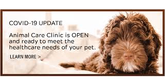Home in klamath falls, or. Vet Clinic In Lexington Fayette County Ky Animal Hospital