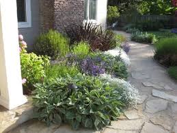 Drought Tolerant Landscaping Garden Landscape Design Traditional Landscape Mediterranean Landscaping