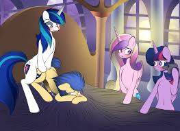 338386 - explicit, artist:v-d-k, flash sentry, princess cadance, shining  armor, twilight sparkle, alicorn, pony, g4, anal, anal orgasm, bed, bedroom  eyes, bipedal leaning, blushing, brad, camcorder, camera, casual  masturbation, casual sex, clopping,