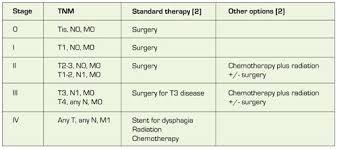 Ct Pet Scanning Ctisus Com Ct Scanning