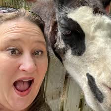 Is Pirate's Deck opened back up ???