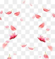Pin On Free Watercolor Flower Png Images