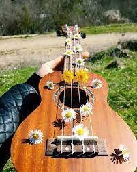 We did not find results for: Pin On Uke